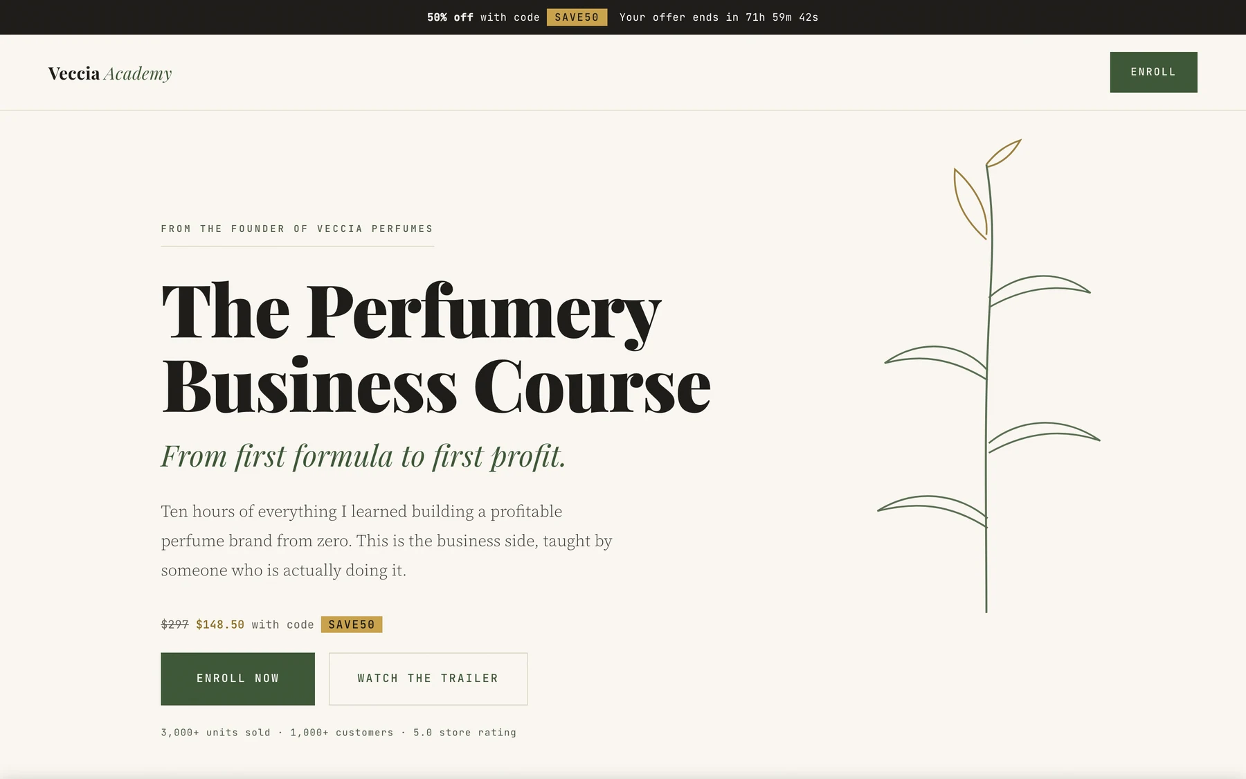 Veccia Academy funnel on desktop